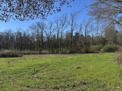 East Texas Hunting/Recreational High Fence Land For Sale - image 38