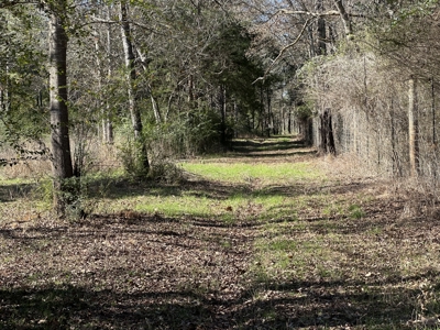 East Texas Hunting/Recreational High Fence Land For Sale - image 39