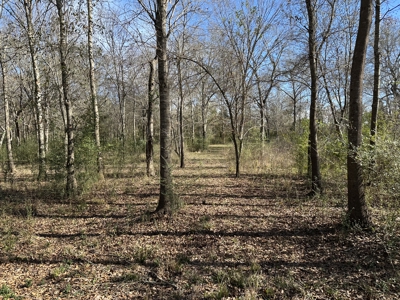 East Texas Hunting/Recreational High Fence Land For Sale - image 11