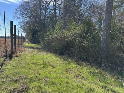 East Texas Hunting/Recreational High Fence Land For Sale - image 31