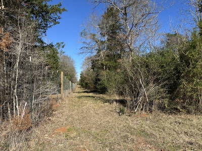East Texas Hunting/Recreational High Fence Land For Sale - image 22