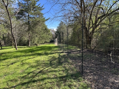 East Texas Hunting/Recreational High Fence Land For Sale - image 4