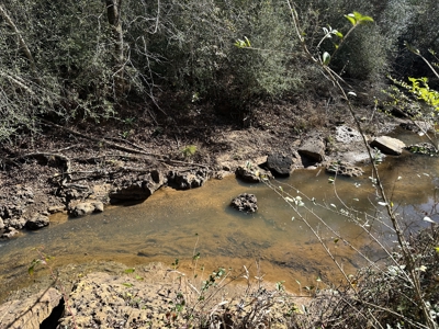 East Texas Hunting/Recreational High Fence Land For Sale - image 17