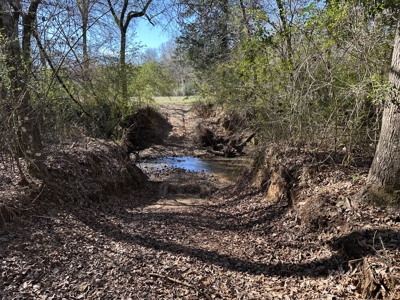 East Texas Hunting/Recreational High Fence Land For Sale - image 36