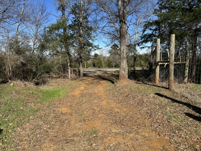 East Texas Hunting/Recreational High Fence Land For Sale - image 40