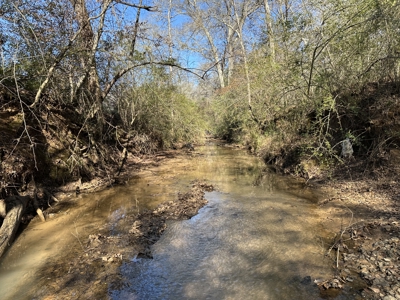 East Texas Hunting/Recreational High Fence Land For Sale - image 29