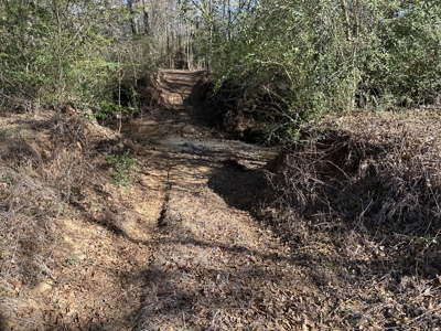 East Texas Hunting/Recreational High Fence Land For Sale - image 28