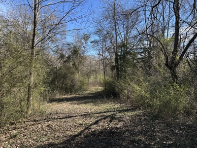 East Texas Hunting/Recreational High Fence Land For Sale - image 10