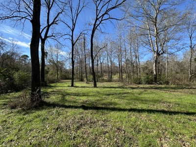 East Texas Hunting/Recreational High Fence Land For Sale - image 13