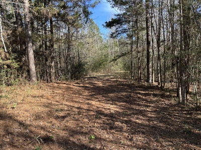 East Texas Hunting/Recreational High Fence Land For Sale - image 9