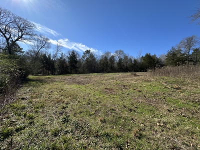 East Texas Hunting/Recreational High Fence Land For Sale - image 16