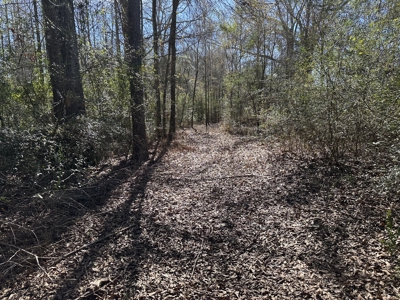 East Texas Hunting/Recreational High Fence Land For Sale - image 35