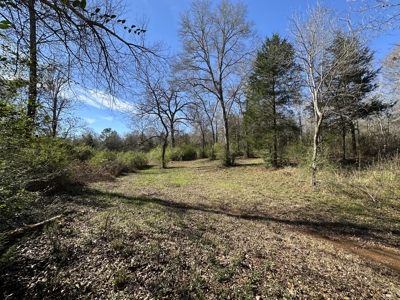 East Texas Hunting/Recreational High Fence Land For Sale - image 15