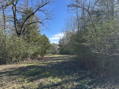 East Texas Hunting/Recreational High Fence Land For Sale - image 24