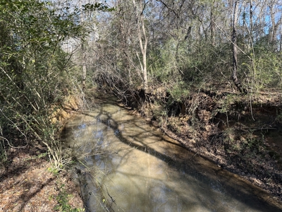 East Texas Hunting/Recreational High Fence Land For Sale - image 26