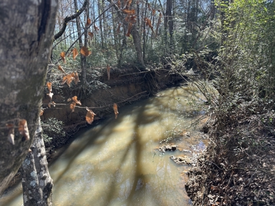 East Texas Hunting/Recreational High Fence Land For Sale - image 1