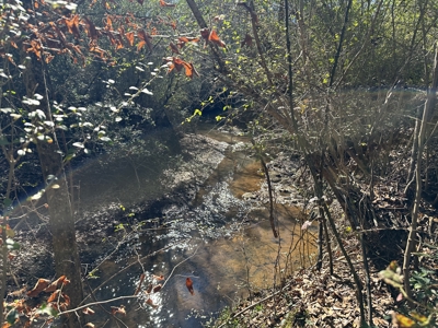 East Texas Hunting/Recreational High Fence Land For Sale - image 14