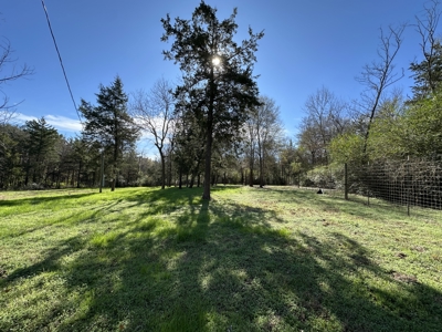 East Texas Hunting/Recreational High Fence Land For Sale - image 2