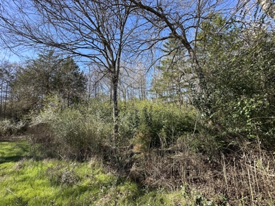 East Texas Hunting/Recreational High Fence Land For Sale - image 33