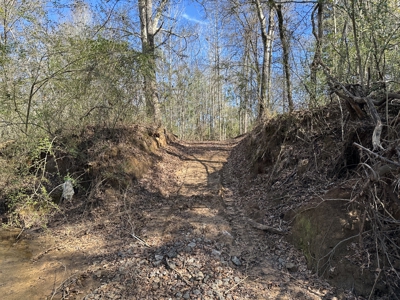 East Texas Hunting/Recreational High Fence Land For Sale - image 30