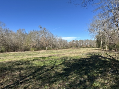 East Texas Hunting/Recreational High Fence Land For Sale - image 27