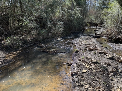 East Texas Hunting/Recreational High Fence Land For Sale - image 19