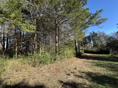 East Texas Hunting/Recreational High Fence Land For Sale - image 5