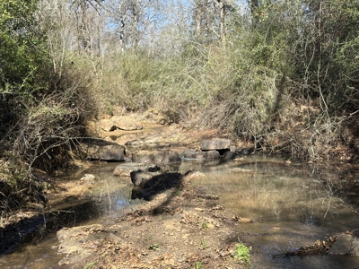 East Texas Hunting/Recreational High Fence Land For Sale - image 20