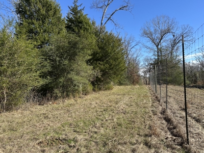 East Texas Hunting/Recreational High Fence Land For Sale - image 23