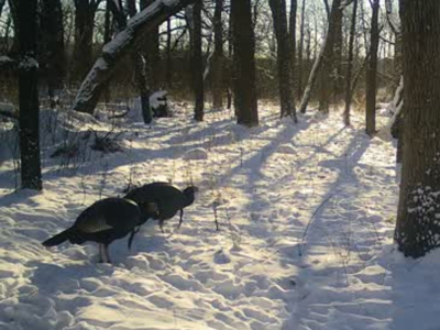Secluded 40-Acre Property With Prime Hunting and Peaceful Country - image 46