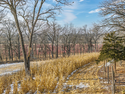 Secluded 40-Acre Property With Prime Hunting and Peaceful Country - image 40