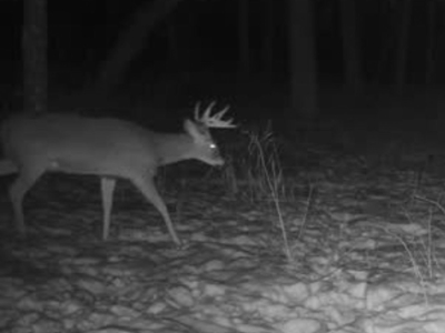 Secluded 40-Acre Property With Prime Hunting and Peaceful Country - image 28