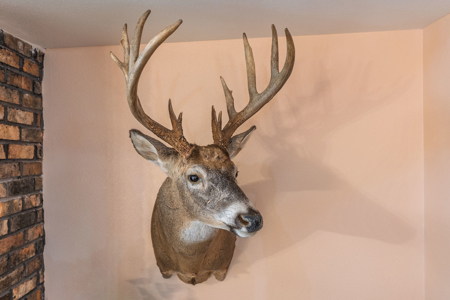 Secluded 40-Acre Property With Prime Hunting and Peaceful Country - image 17