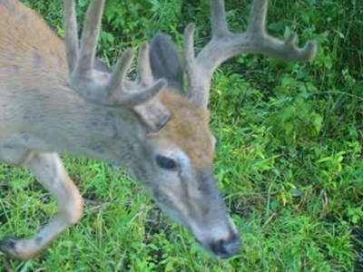 Secluded 40-Acre Property With Prime Hunting and Peaceful Country - image 48