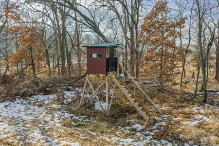 Secluded 40-Acre Property With Prime Hunting and Peaceful Country - image 39