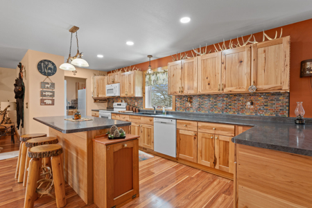 Secluded 40-Acre Property With Prime Hunting and Peaceful Country - image 5