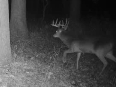 Secluded 40-Acre Property With Prime Hunting and Peaceful Country - image 25
