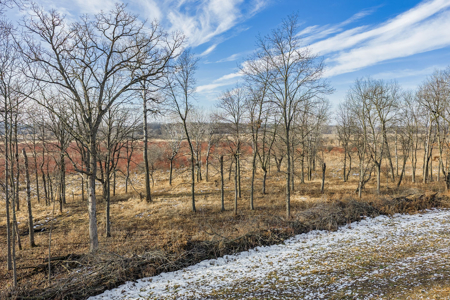 Secluded 40-Acre Property With Prime Hunting and Peaceful Country - image 41