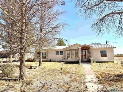 Country Home An 10 Acres Right Outside Carlsbad NM For Sale - image 1