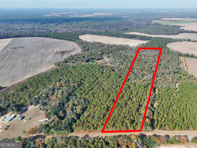Timberland tract offering a mix of planted pine and natural woods - image 3