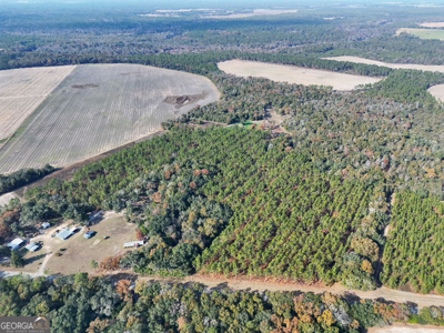 Timberland tract offering a mix of planted pine and natural woods - image 8