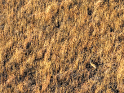 Land For Sale in Barton County Missouri - image 8