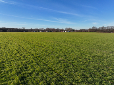 Land For Sale in Barton County Missouri - image 5