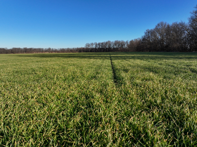 Land For Sale in Barton County Missouri - image 4