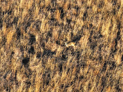 Land For Sale in Barton County Missouri - image 6