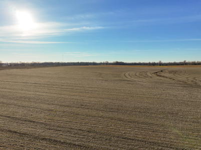 Land For Sale In Barton County Missouri - image 12