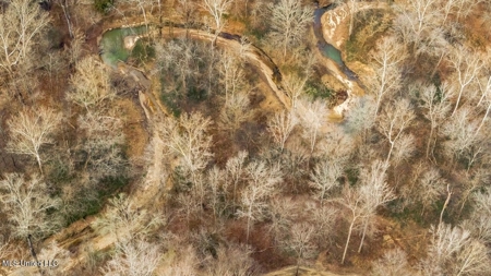 Drake's Bayou - Claiborne County, Mississippi - image 40