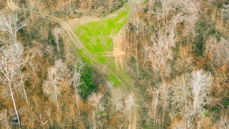 Drake's Bayou - Claiborne County, Mississippi - image 23