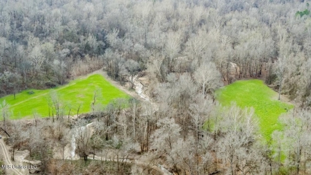 Drake's Bayou - Claiborne County, Mississippi - image 32