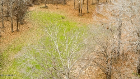 Drake's Bayou - Claiborne County, Mississippi - image 28